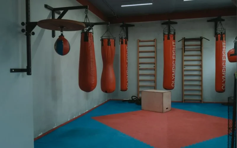 Interior view of a gym with boxing bags and equipment, designed for fitness enthusiasts.