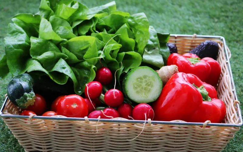 warzywa, wegańskie, vegetarian, zielony, czerwony, pomidor, awokado, sałatka, healthy, zdrowie, bio, sporty, imbir, jedzenie, zieleń